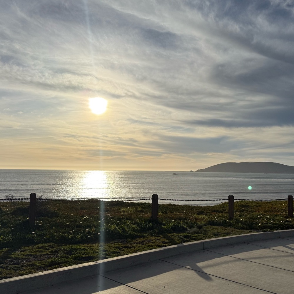 Meet your Posher, Sasha